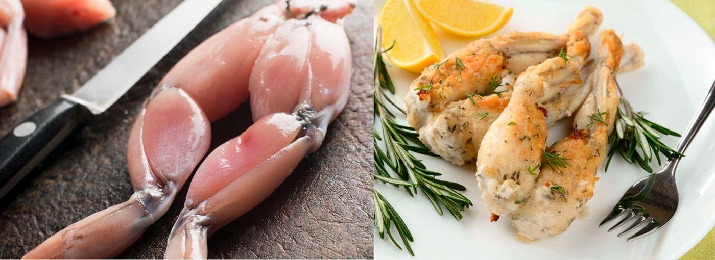cuisses de grenouilles fraîches saison-2023