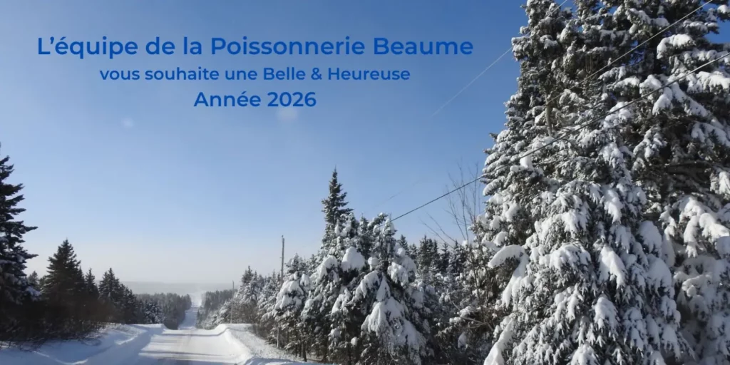 meilleurs voeux 2026