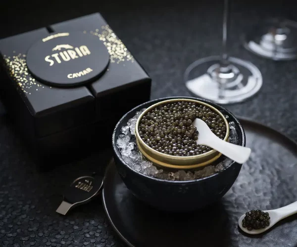 caviar aquitaine sturia